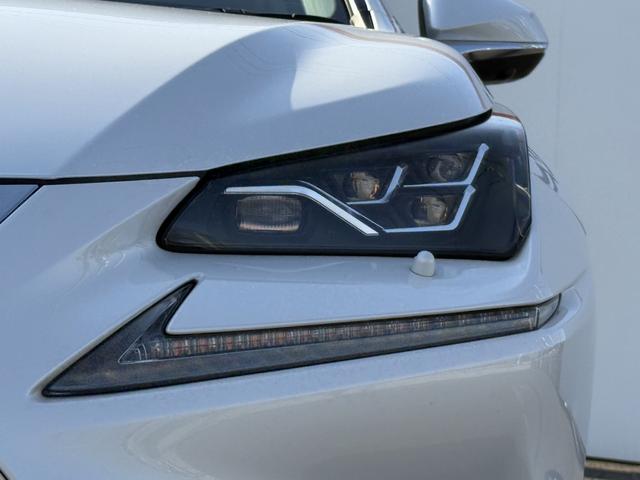 ���Ǝҗl�ւ̔̔��͂��f�肳���Ă��������܂��B�@�Ԍ������ԗ��̏ꍇ�́A�Ԍ����擾�������x�������z�ŕ\�����Ă���܂��B