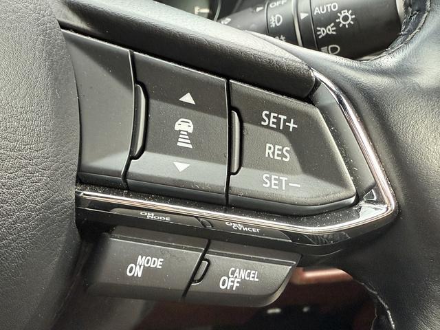 ＣＸ－８ ＸＤ　エクスクルーシブモード　サンルーフ　ＢＯＳＥ　茶革シート　純正１０．２５インチナビ　フルセグ　アラウンドビューモニター　パワーバックドア　快適温冷シート　アダプティブクルーズコントロール　衝突軽減ブレーキ　パドルシフト（46枚目）