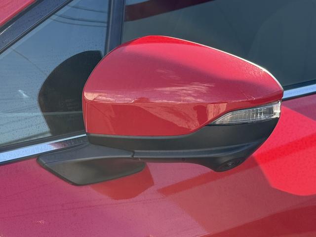 ���Ǝҗl�ւ̔̔��͂��f�肳���Ă��������܂��B�@�Ԍ������ԗ��̏ꍇ�́A�Ԍ����擾�������x�������z�ŕ\�����Ă���܂��B