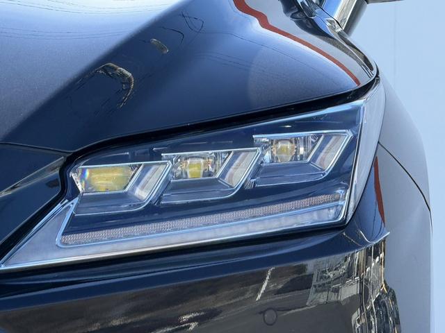 ���Ǝҗl�ւ̔̔��͂��f�肳���Ă��������܂��B�@�Ԍ������ԗ��̏ꍇ�́A�Ԍ����擾�������x�������z�ŕ\�����Ă���܂��B