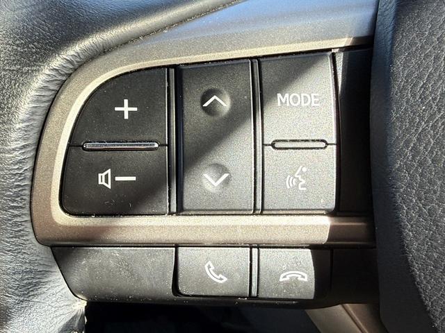 ���Ǝҗl�ւ̔̔��͂��f�肳���Ă��������܂��B�@�Ԍ������ԗ��̏ꍇ�́A�Ԍ����擾�������x�������z�ŕ\�����Ă���܂��B