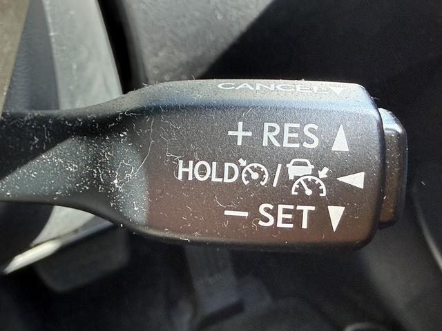 ���Ǝҗl�ւ̔̔��͂��f�肳���Ă��������܂��B�@�Ԍ������ԗ��̏ꍇ�́A�Ԍ����擾�������x�������z�ŕ\�����Ă���܂��B