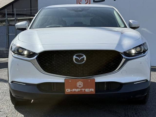 ���Ǝҗl�ւ̔̔��͂��f�肳���Ă��������܂��B�@�Ԍ������ԗ��̏ꍇ�́A�Ԍ����擾�������x�������z�ŕ\�����Ă���܂��B