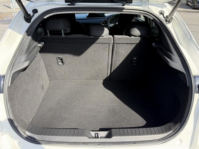 ���Ǝҗl�ւ̔̔��͂��f�肳���Ă��������܂��B�@�Ԍ������ԗ��̏ꍇ�́A�Ԍ����擾�������x�������z�ŕ\�����Ă���܂��B