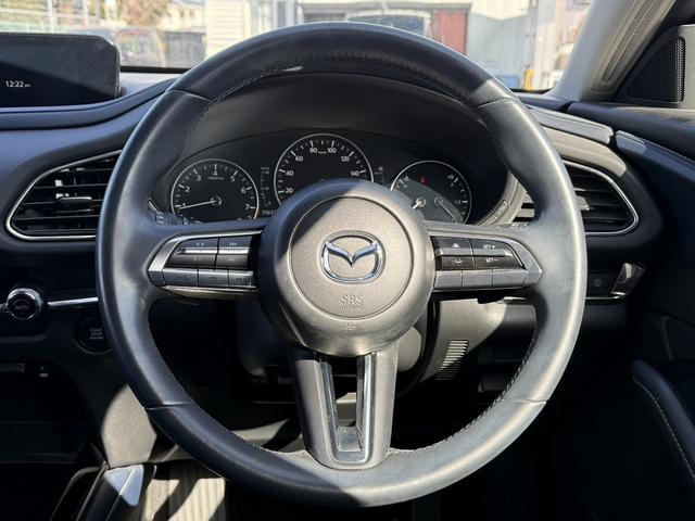 ���Ǝҗl�ւ̔̔��͂��f�肳���Ă��������܂��B�@�Ԍ������ԗ��̏ꍇ�́A�Ԍ����擾�������x�������z�ŕ\�����Ă���܂��B