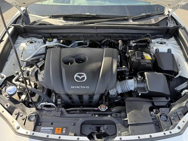 ���Ǝҗl�ւ̔̔��͂��f�肳���Ă��������܂��B�@�Ԍ������ԗ��̏ꍇ�́A�Ԍ����擾�������x�������z�ŕ\�����Ă���܂��B