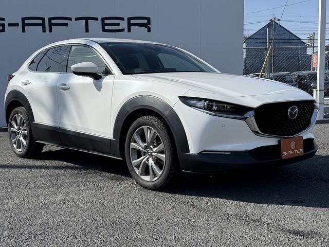 ���Ǝҗl�ւ̔̔��͂��f�肳���Ă��������܂��B�@�Ԍ������ԗ��̏ꍇ�́A�Ԍ����擾�������x�������z�ŕ\�����Ă���܂��B