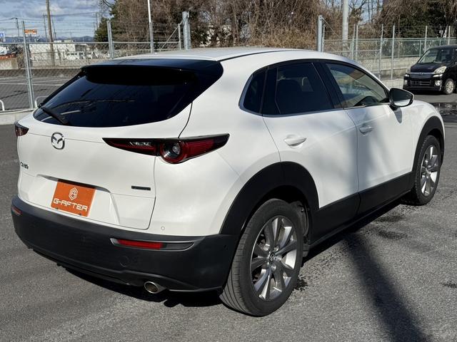 ���Ǝҗl�ւ̔̔��͂��f�肳���Ă��������܂��B�@�Ԍ������ԗ��̏ꍇ�́A�Ԍ����擾�������x�������z�ŕ\�����Ă���܂��B