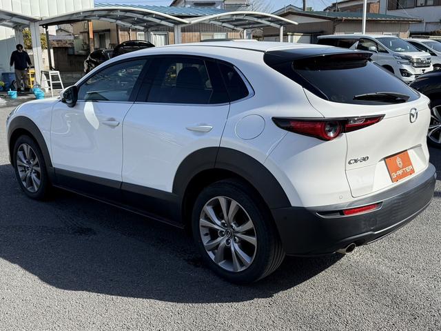 ���Ǝҗl�ւ̔̔��͂��f�肳���Ă��������܂��B�@�Ԍ������ԗ��̏ꍇ�́A�Ԍ����擾�������x�������z�ŕ\�����Ă���܂��B