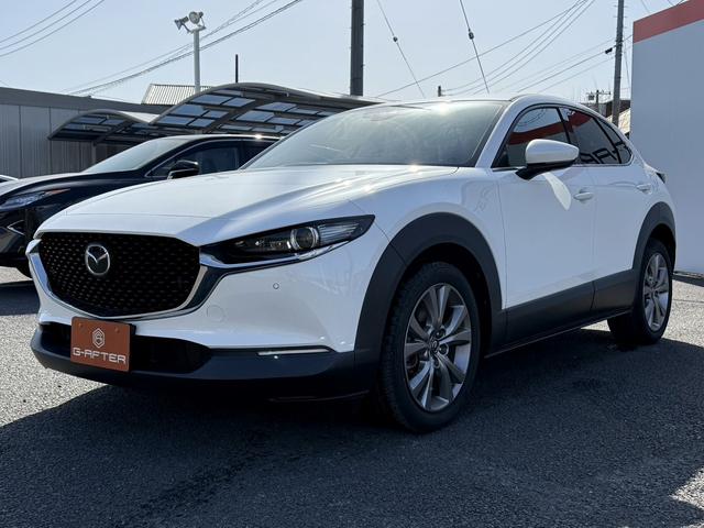 ���Ǝҗl�ւ̔̔��͂��f�肳���Ă��������܂��B�@�Ԍ������ԗ��̏ꍇ�́A�Ԍ����擾�������x�������z�ŕ\�����Ă���܂��B