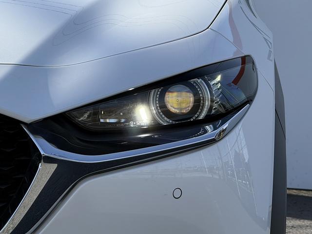 ���Ǝҗl�ւ̔̔��͂��f�肳���Ă��������܂��B�@�Ԍ������ԗ��̏ꍇ�́A�Ԍ����擾�������x�������z�ŕ\�����Ă���܂��B