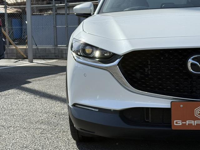 ���Ǝҗl�ւ̔̔��͂��f�肳���Ă��������܂��B�@�Ԍ������ԗ��̏ꍇ�́A�Ԍ����擾�������x�������z�ŕ\�����Ă���܂��B