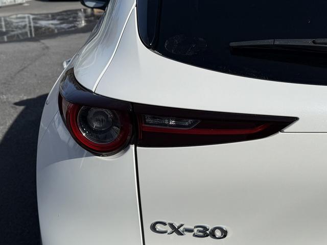 ���Ǝҗl�ւ̔̔��͂��f�肳���Ă��������܂��B�@�Ԍ������ԗ��̏ꍇ�́A�Ԍ����擾�������x�������z�ŕ\�����Ă���܂��B