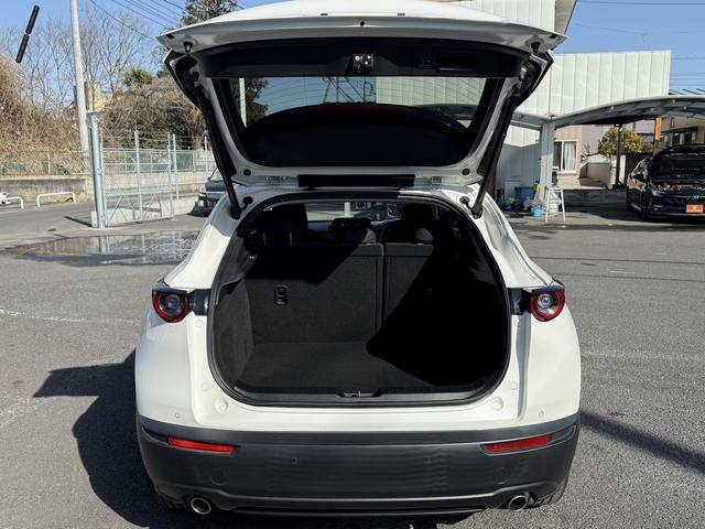 ���Ǝҗl�ւ̔̔��͂��f�肳���Ă��������܂��B�@�Ԍ������ԗ��̏ꍇ�́A�Ԍ����擾�������x�������z�ŕ\�����Ă���܂��B