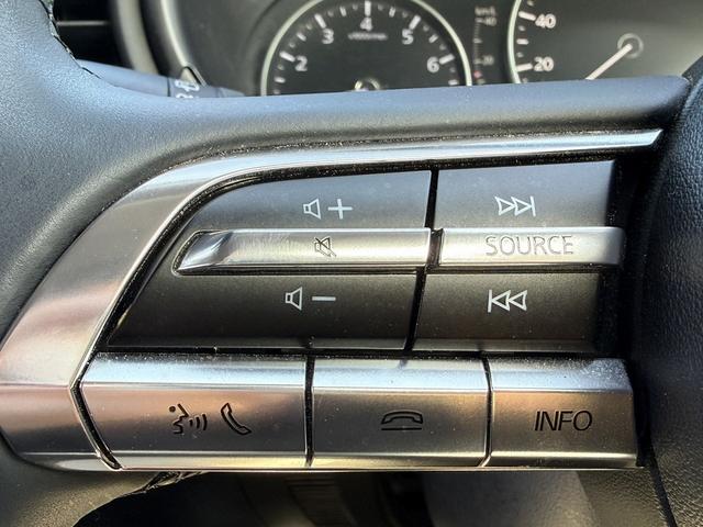 ���Ǝҗl�ւ̔̔��͂��f�肳���Ă��������܂��B�@�Ԍ������ԗ��̏ꍇ�́A�Ԍ����擾�������x�������z�ŕ\�����Ă���܂��B