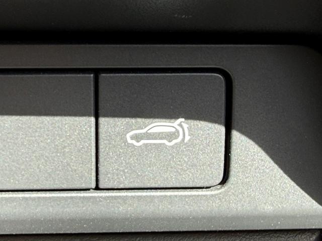 ���Ǝҗl�ւ̔̔��͂��f�肳���Ă��������܂��B�@�Ԍ������ԗ��̏ꍇ�́A�Ԍ����擾�������x�������z�ŕ\�����Ă���܂��B