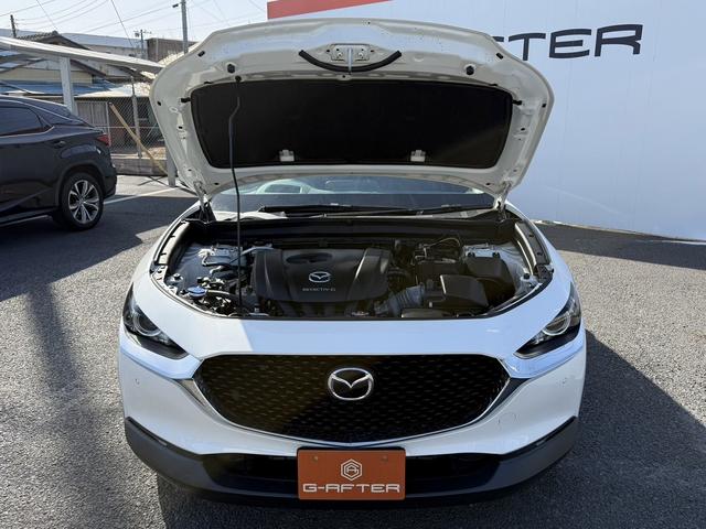 ���Ǝҗl�ւ̔̔��͂��f�肳���Ă��������܂��B�@�Ԍ������ԗ��̏ꍇ�́A�Ԍ����擾�������x�������z�ŕ\�����Ă���܂��B