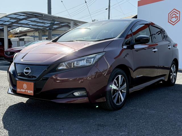 ���Ǝҗl�ւ̔̔��͂��f�肳���Ă��������܂��B�@�Ԍ������ԗ��̏ꍇ�́A�Ԍ����擾�������x�������z�ŕ\�����Ă���܂��B