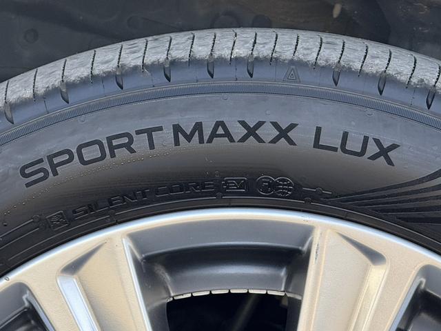 アルファード ２．５Ｓ　タイプゴールド　ワンオーナー　禁煙車　純正ＪＢＬプレミアムサウンドナビ　１３型リアモニター　パワーバックドア　３６０度カメラ　ブラインドスポットモニター　デジタルインナーミラー　衝突軽減　運転支援　両側電動スライド（35枚目）