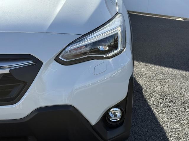 ���Ǝҗl�ւ̔̔��͂��f�肳���Ă��������܂��B�@�Ԍ������ԗ��̏ꍇ�́A�Ԍ����擾�������x�������z�ŕ\�����Ă���܂��B