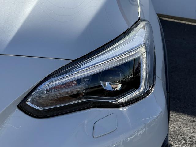 ���Ǝҗl�ւ̔̔��͂��f�肳���Ă��������܂��B�@�Ԍ������ԗ��̏ꍇ�́A�Ԍ����擾�������x�������z�ŕ\�����Ă���܂��B