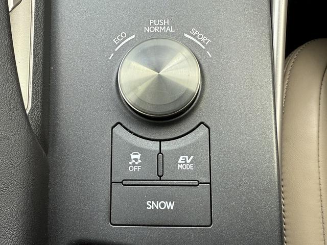 ���Ǝҗl�ւ̔̔��͂��f�肳���Ă��������܂��B�@�Ԍ������ԗ��̏ꍇ�́A�Ԍ����擾�������x�������z�ŕ\�����Ă���܂��B