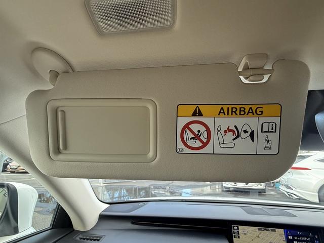 ���Ǝҗl�ւ̔̔��͂��f�肳���Ă��������܂��B�@�Ԍ������ԗ��̏ꍇ�́A�Ԍ����擾�������x�������z�ŕ\�����Ă���܂��B