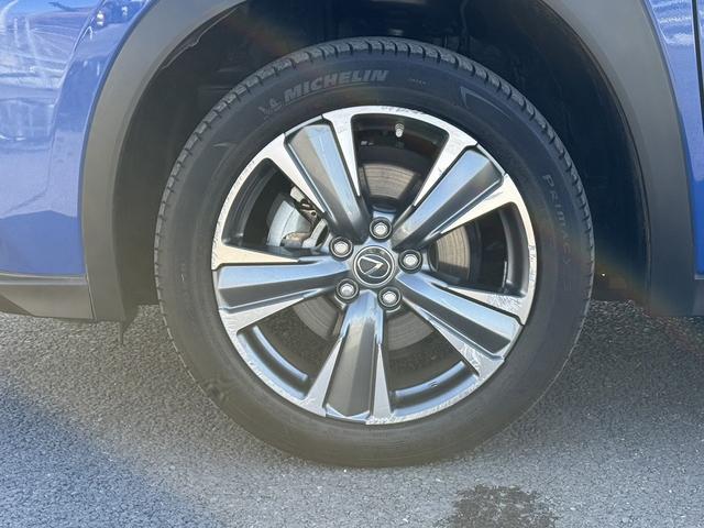 ���Ǝҗl�ւ̔̔��͂��f�肳���Ă��������܂��B�@�Ԍ������ԗ��̏ꍇ�́A�Ԍ����擾�������x�������z�ŕ\�����Ă���܂��B