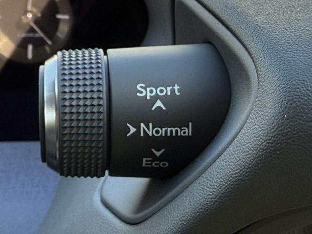 ���Ǝҗl�ւ̔̔��͂��f�肳���Ă��������܂��B�@�Ԍ������ԗ��̏ꍇ�́A�Ԍ����擾�������x�������z�ŕ\�����Ă���܂��B