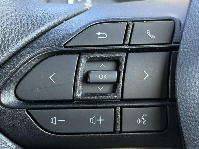 ���Ǝҗl�ւ̔̔��͂��f�肳���Ă��������܂��B�@�Ԍ������ԗ��̏ꍇ�́A�Ԍ����擾�������x�������z�ŕ\�����Ă���܂��B