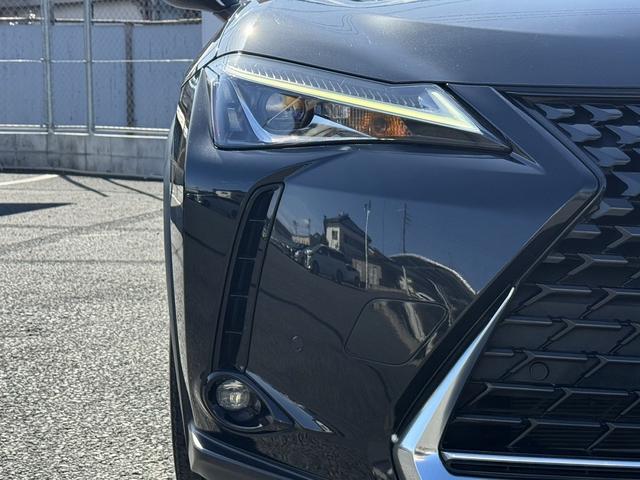 ���Ǝҗl�ւ̔̔��͂��f�肳���Ă��������܂��B�@�Ԍ������ԗ��̏ꍇ�́A�Ԍ����擾�������x�������z�ŕ\�����Ă���܂��B