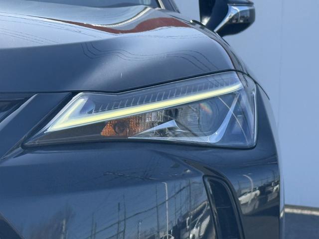 ���Ǝҗl�ւ̔̔��͂��f�肳���Ă��������܂��B�@�Ԍ������ԗ��̏ꍇ�́A�Ԍ����擾�������x�������z�ŕ\�����Ă���܂��B