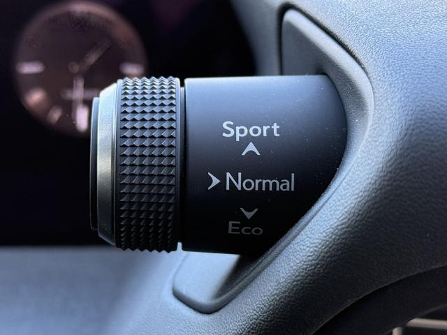 ���Ǝҗl�ւ̔̔��͂��f�肳���Ă��������܂��B�@�Ԍ������ԗ��̏ꍇ�́A�Ԍ����擾�������x�������z�ŕ\�����Ă���܂��B