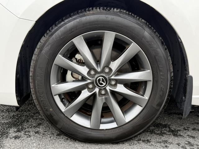 ���Ǝҗl�ւ̔̔��͂��f�肳���Ă��������܂��B�@�Ԍ������ԗ��̏ꍇ�́A�Ԍ����擾�������x�������z�ŕ\�����Ă���܂��B