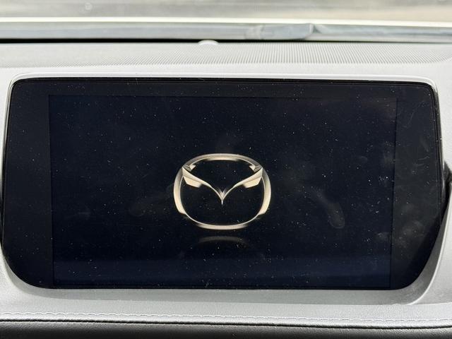 ���Ǝҗl�ւ̔̔��͂��f�肳���Ă��������܂��B�@�Ԍ������ԗ��̏ꍇ�́A�Ԍ����擾�������x�������z�ŕ\�����Ă���܂��B