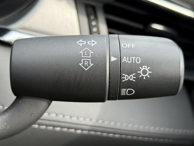 ���Ǝҗl�ւ̔̔��͂��f�肳���Ă��������܂��B�@�Ԍ������ԗ��̏ꍇ�́A�Ԍ����擾�������x�������z�ŕ\�����Ă���܂��B