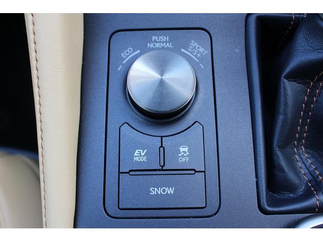 ＲＣ ＲＣ３００ｈ　バージョンＬ　ワンオーナー　禁煙車　クリアランスソアー　オートマチックハイビーム　レーダークルーズ　純正８インチナビ　本革シート　ベンチレーション　シートヒーター　ビルトインＥＴＣ　フルセグ　バックモニター　ＬＥＤ（65枚目）