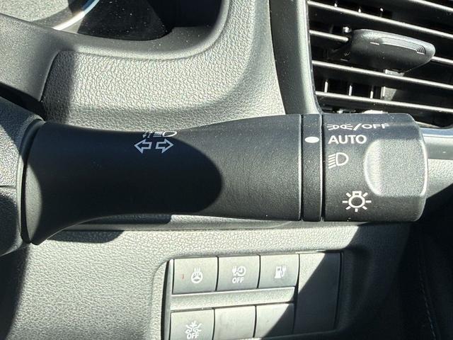 ���Ǝҗl�ւ̔̔��͂��f�肳���Ă��������܂��B�@�Ԍ������ԗ��̏ꍇ�́A�Ԍ����擾�������x�������z�ŕ\�����Ă���܂��B