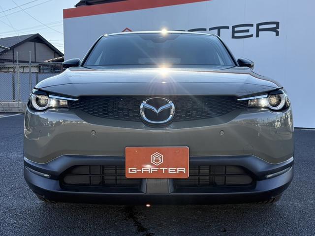 ���Ǝҗl�ւ̔̔��͂��f�肳���Ă��������܂��B�@�Ԍ������ԗ��̏ꍇ�́A�Ԍ����擾�������x�������z�ŕ\�����Ă���܂��B