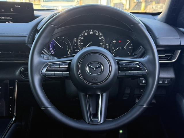 ���Ǝҗl�ւ̔̔��͂��f�肳���Ă��������܂��B�@�Ԍ������ԗ��̏ꍇ�́A�Ԍ����擾�������x�������z�ŕ\�����Ă���܂��B