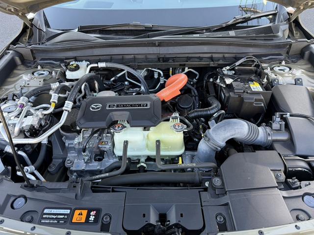 ���Ǝҗl�ւ̔̔��͂��f�肳���Ă��������܂��B�@�Ԍ������ԗ��̏ꍇ�́A�Ԍ����擾�������x�������z�ŕ\�����Ă���܂��B