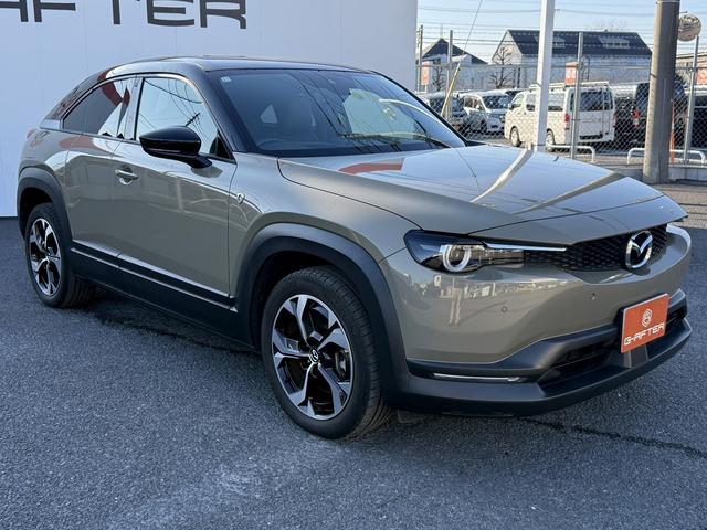 ���Ǝҗl�ւ̔̔��͂��f�肳���Ă��������܂��B�@�Ԍ������ԗ��̏ꍇ�́A�Ԍ����擾�������x�������z�ŕ\�����Ă���܂��B