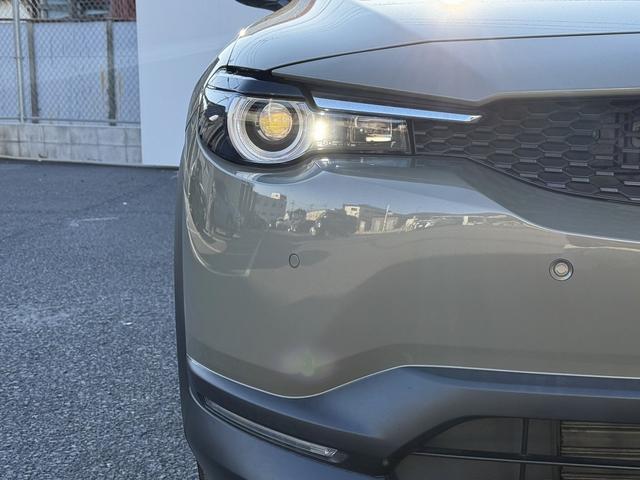 ���Ǝҗl�ւ̔̔��͂��f�肳���Ă��������܂��B�@�Ԍ������ԗ��̏ꍇ�́A�Ԍ����擾�������x�������z�ŕ\�����Ă���܂��B