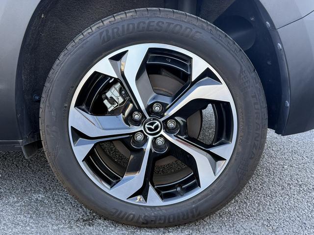 ���Ǝҗl�ւ̔̔��͂��f�肳���Ă��������܂��B�@�Ԍ������ԗ��̏ꍇ�́A�Ԍ����擾�������x�������z�ŕ\�����Ă���܂��B