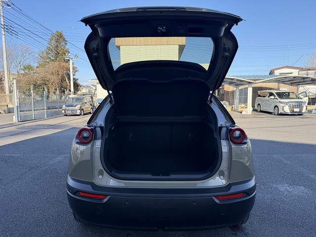 ���Ǝҗl�ւ̔̔��͂��f�肳���Ă��������܂��B�@�Ԍ������ԗ��̏ꍇ�́A�Ԍ����擾�������x�������z�ŕ\�����Ă���܂��B