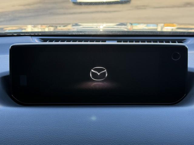 ���Ǝҗl�ւ̔̔��͂��f�肳���Ă��������܂��B�@�Ԍ������ԗ��̏ꍇ�́A�Ԍ����擾�������x�������z�ŕ\�����Ă���܂��B