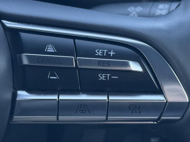 ���Ǝҗl�ւ̔̔��͂��f�肳���Ă��������܂��B�@�Ԍ������ԗ��̏ꍇ�́A�Ԍ����擾�������x�������z�ŕ\�����Ă���܂��B