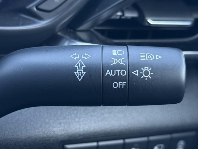 ���Ǝҗl�ւ̔̔��͂��f�肳���Ă��������܂��B�@�Ԍ������ԗ��̏ꍇ�́A�Ԍ����擾�������x�������z�ŕ\�����Ă���܂��B