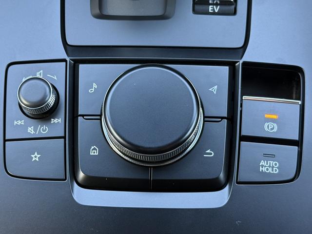 ���Ǝҗl�ւ̔̔��͂��f�肳���Ă��������܂��B�@�Ԍ������ԗ��̏ꍇ�́A�Ԍ����擾�������x�������z�ŕ\�����Ă���܂��B