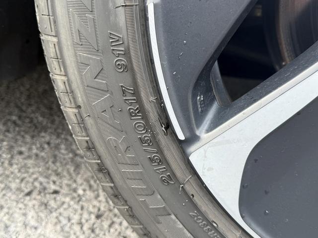 ���Ǝҗl�ւ̔̔��͂��f�肳���Ă��������܂��B�@�Ԍ������ԗ��̏ꍇ�́A�Ԍ����擾�������x�������z�ŕ\�����Ă���܂��B